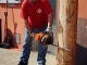 Tallant el vell