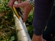 25 metres i ...... 28 en total !!!!