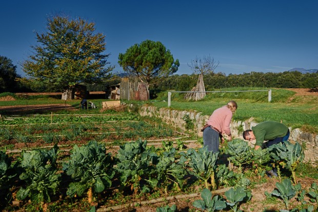 Cultivant l'hort