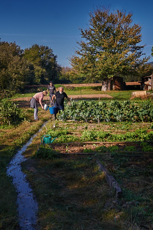 Cultivant l'hort