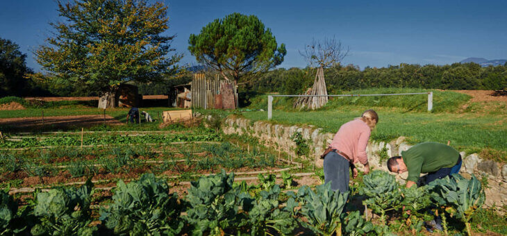 Argelaguer en Transició