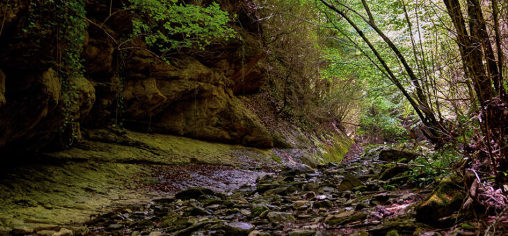 Discovering Fluvià: Viure la natura