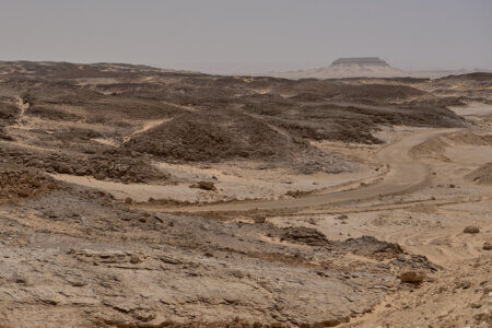El desert egipci