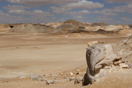 El desert egípci