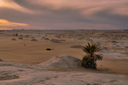 El desert egípci