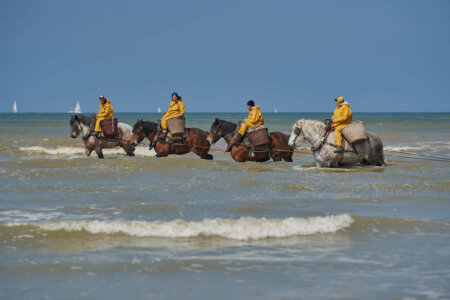 La pesca de gambes a cavall