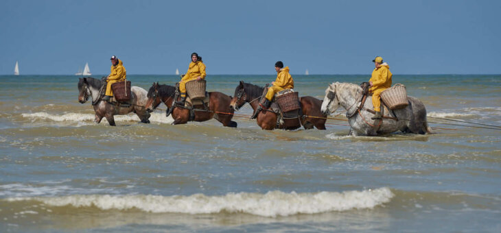 La pesca de gambes a cavall
