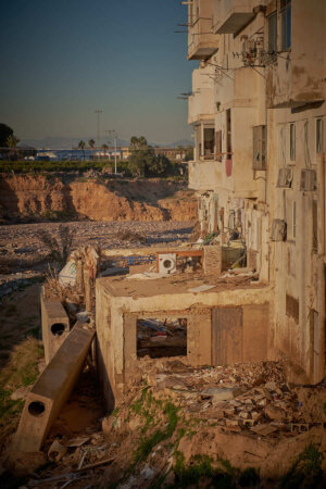 Fang a l'horta de València