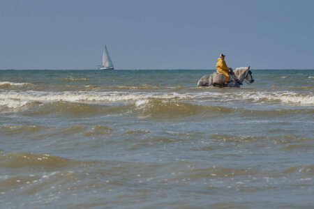 La pesca de gambes a cavall