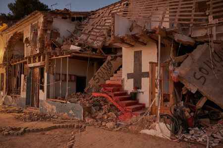 Fang a l'horta de València