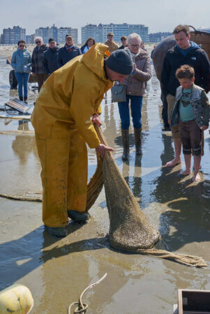 La pesca de gambes a cavall