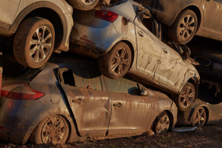 Fang a l'horta de València