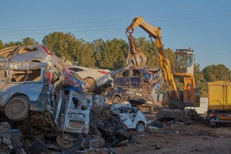 Fang a l'horta de València