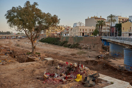 Fang a l'horta de València